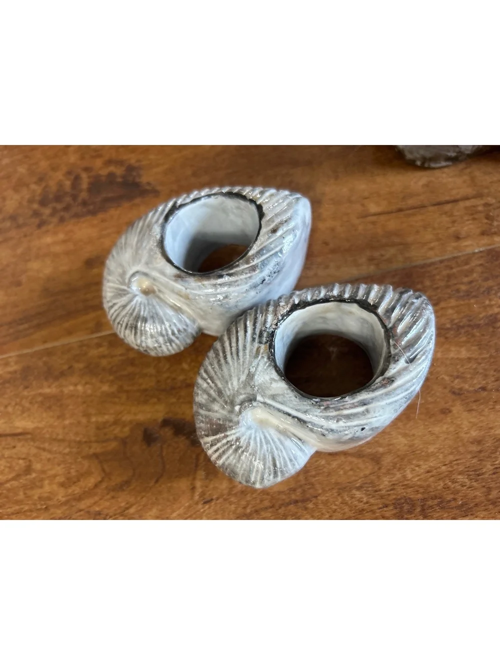 Set of 8 Ceramic Shell-Shaped Napkin Rings